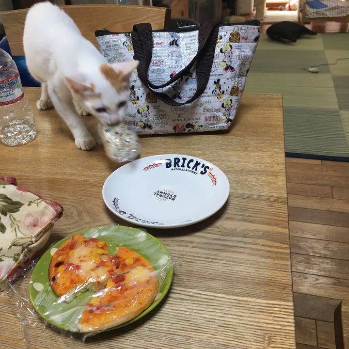 9a31301d 452e 4bbd b1e7 b00909e7214a