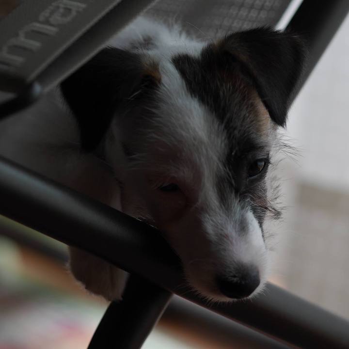 9a315512 7ae0 495a 8600 461d7d4253c5