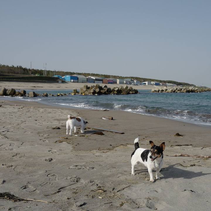 9a317f95 a46b 4b7f 823c 95446139d4df