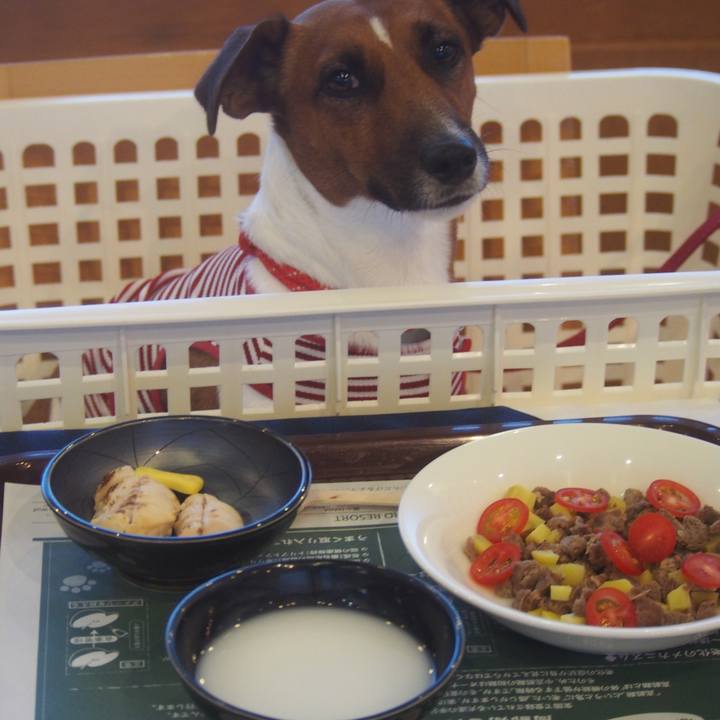 9a31873d 7181 4af5 a065 a15c3c17ac30