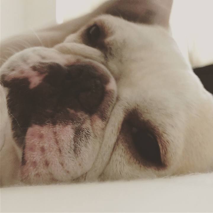 9a31b0b6 b682 4330 8615 50ee2ad35024