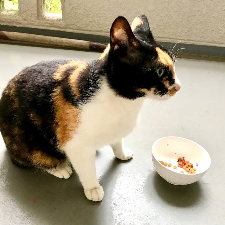 9a31e471 7fcc 442b aac3 786dcc15b5b1