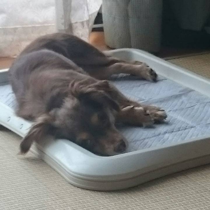 9a3220fe 2066 4cee a2f8 73d57f31604e