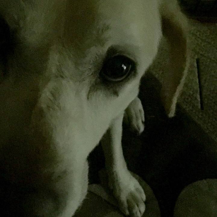 9a327147 a8bb 4dad a2ff eb199c1a1fed