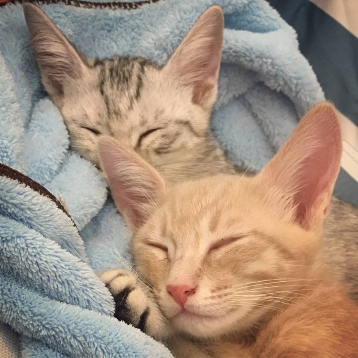 9a328060 c024 4b4f 8749 139e9ae1a2f7