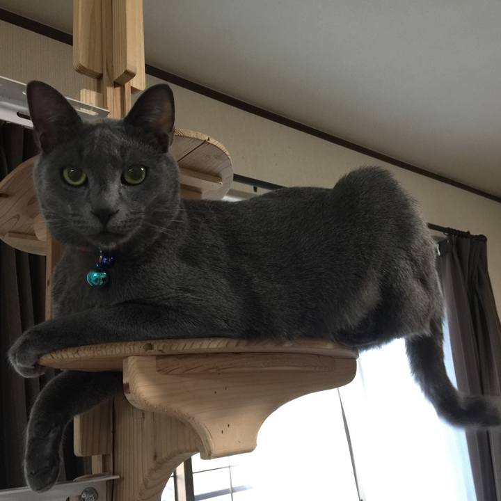 9a32ba7a e97f 4aaf 8e90 33e85fc6ce32