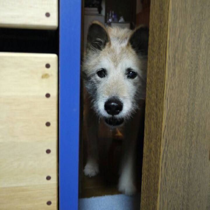 9a32dc56 e1aa 4f81 9a0b 17801d1fffa0