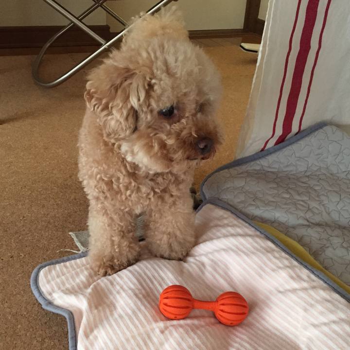 9a338044 db1c 46ef 881d 8402969b080d