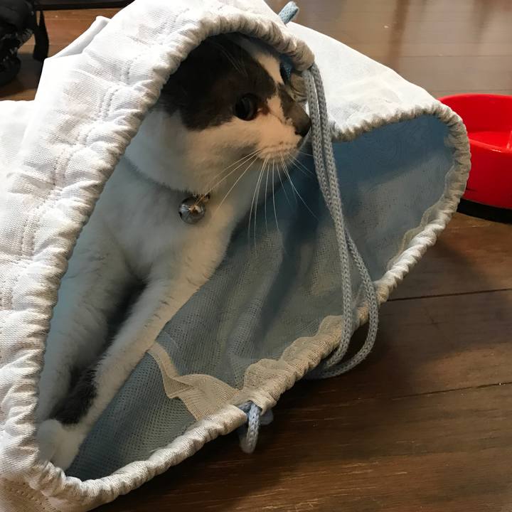 9a348603 8a96 4144 a00f f104c6829719