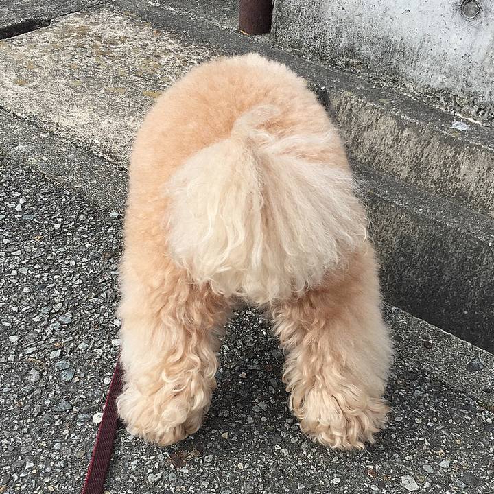 9a34ccb6 28fc 46f2 9245 f6b386062ce7