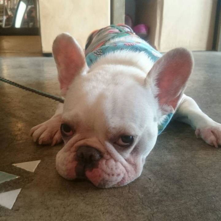 9a351313 bec8 4b54 9261 275dfd7acd16