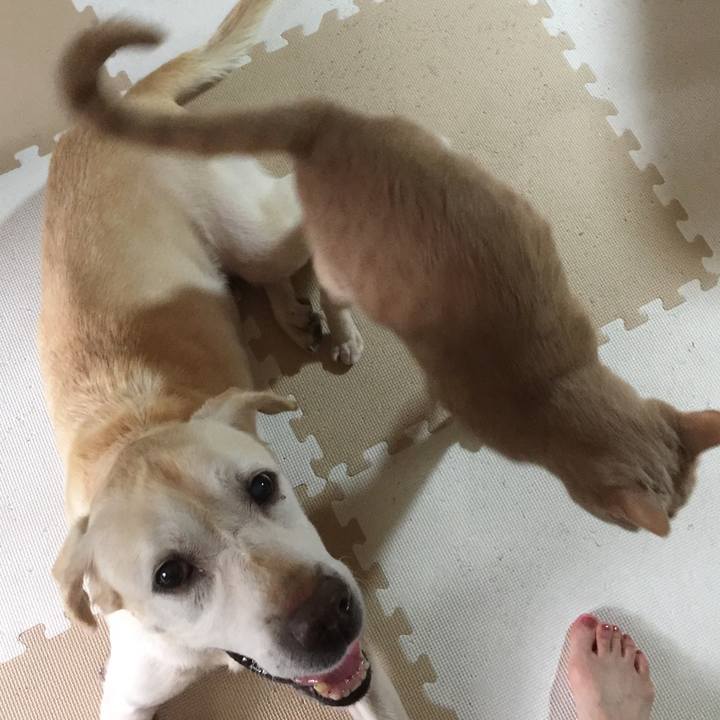 9a354cb5 7b0b 4e55 b3af 29e5db76e56a