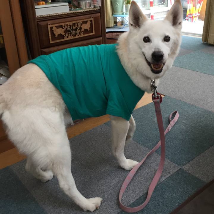 9a355168 4336 45aa 8f72 c60aab4040ed