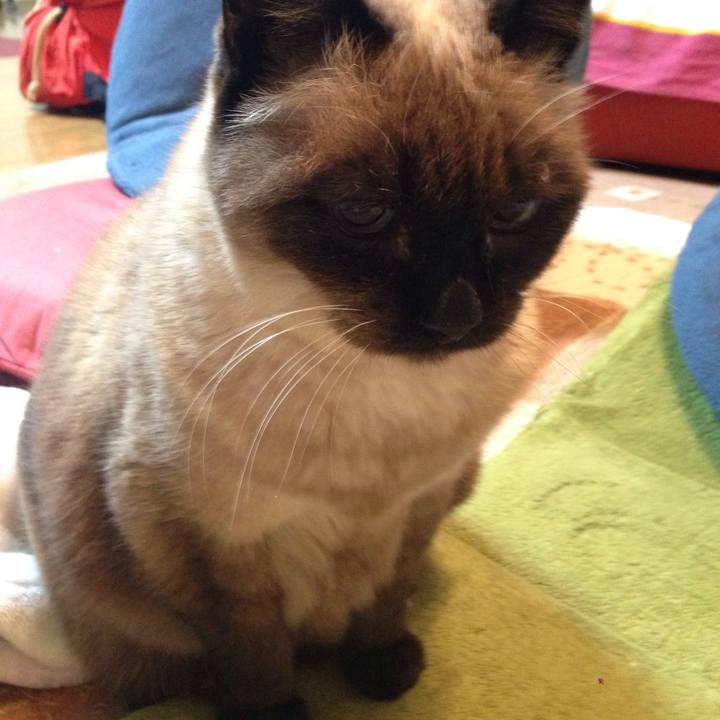 9a35b156 d4f6 4c31 9bf6 08ce598bd162