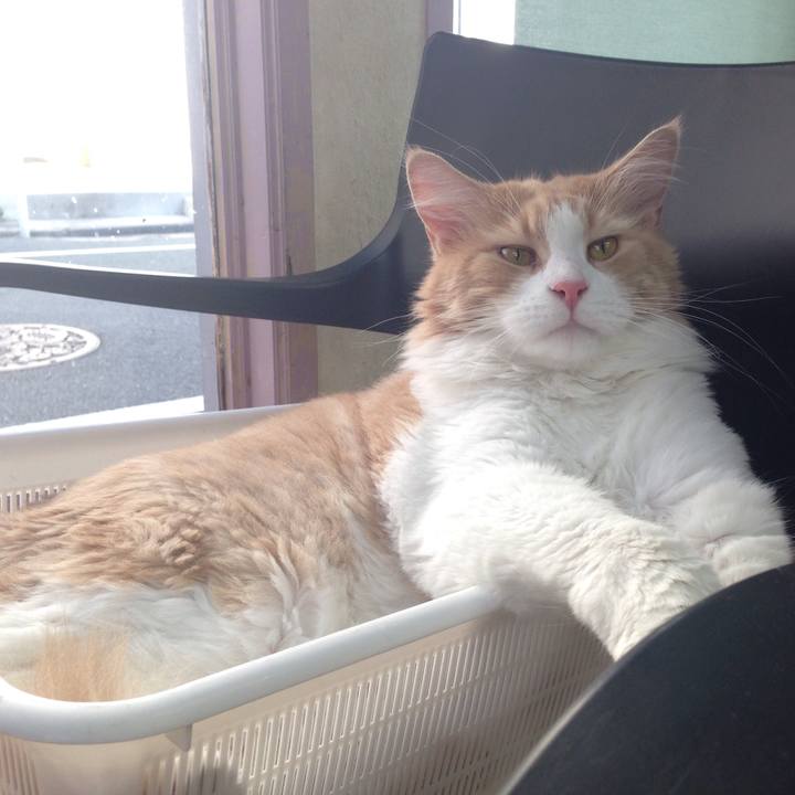 9a35f1d7 4f05 40a9 b812 345da8ddf82d