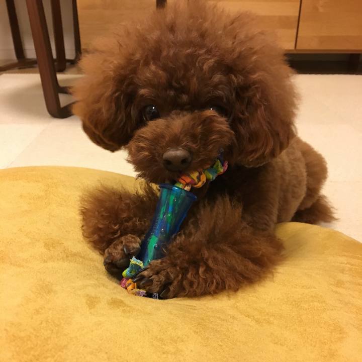 9a36a00c c05d 4287 931b bd64ef279beb