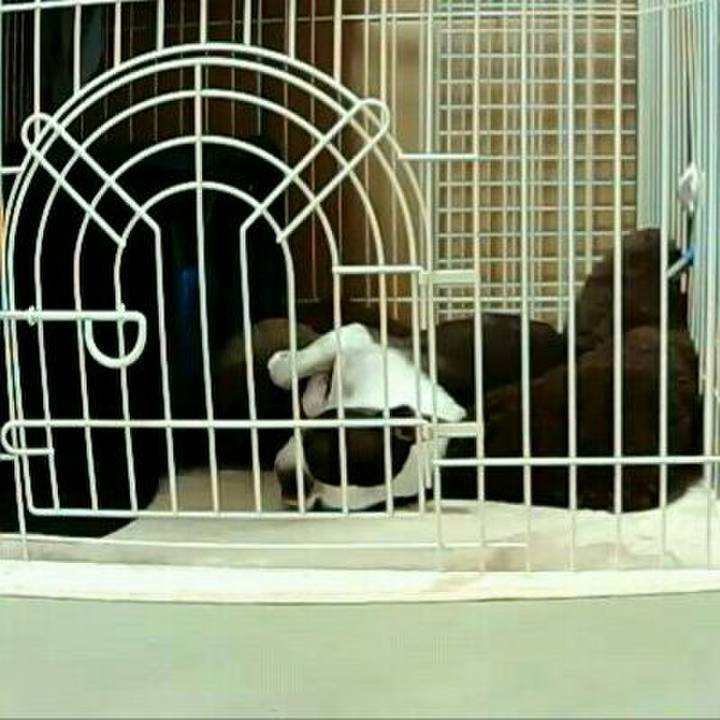 9a37655a c340 4bfc b5e6 6e82e50d6a15