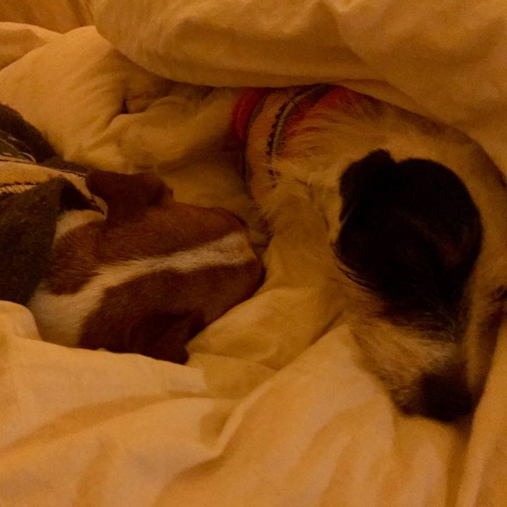 9a37b370 e7f2 41bf b1d3 91f326738a16