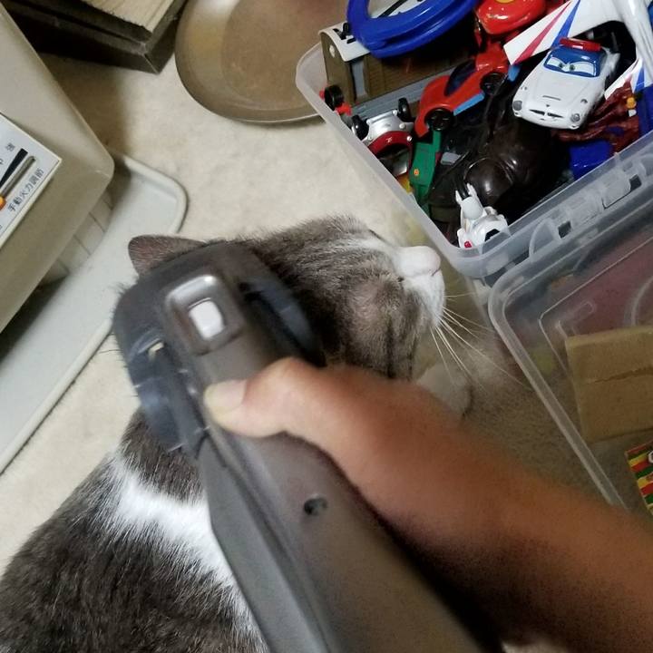 9a38513d 91c0 461a 9996 de135699cf13