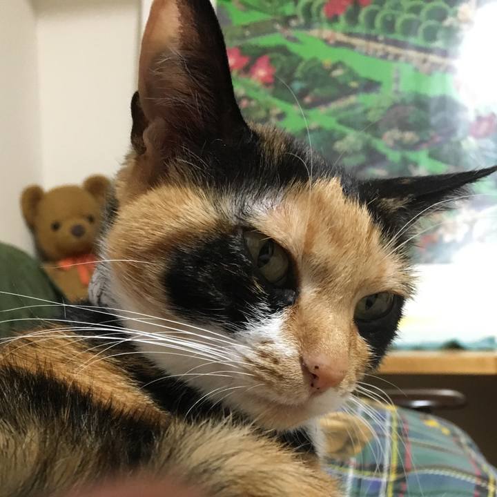 9a391d2d 574b 4ea9 9f6b 7405b9e8e8e7