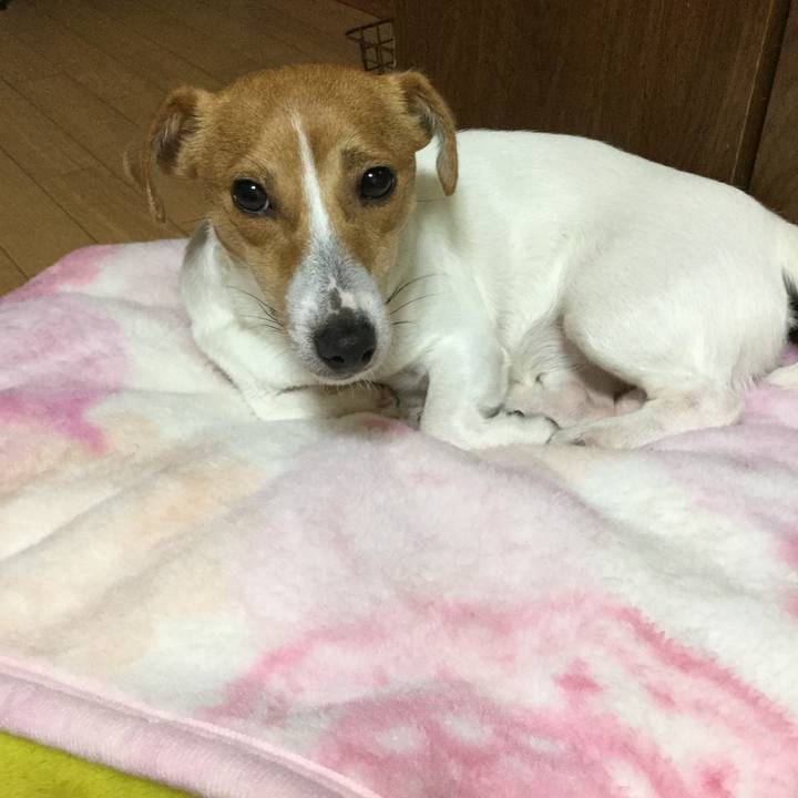 9a39741b 1542 4f6a 9f8e 82ee88f427c9