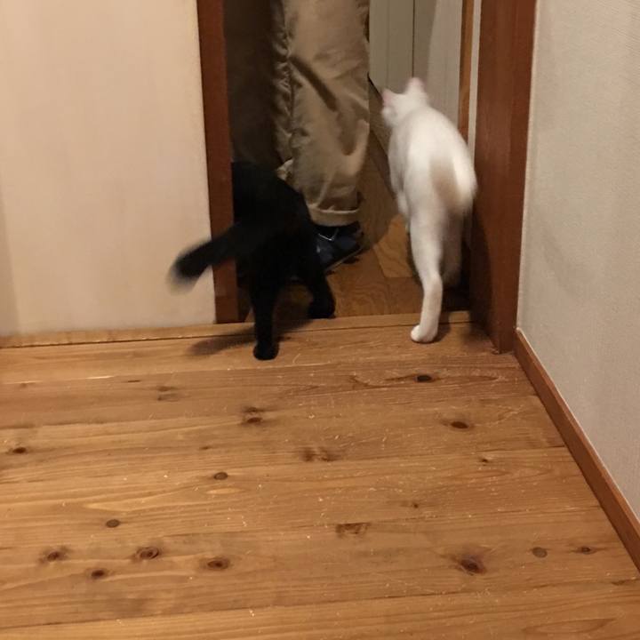 9a39f283 eb5d 482d 8d12 7fa2460dbdb6