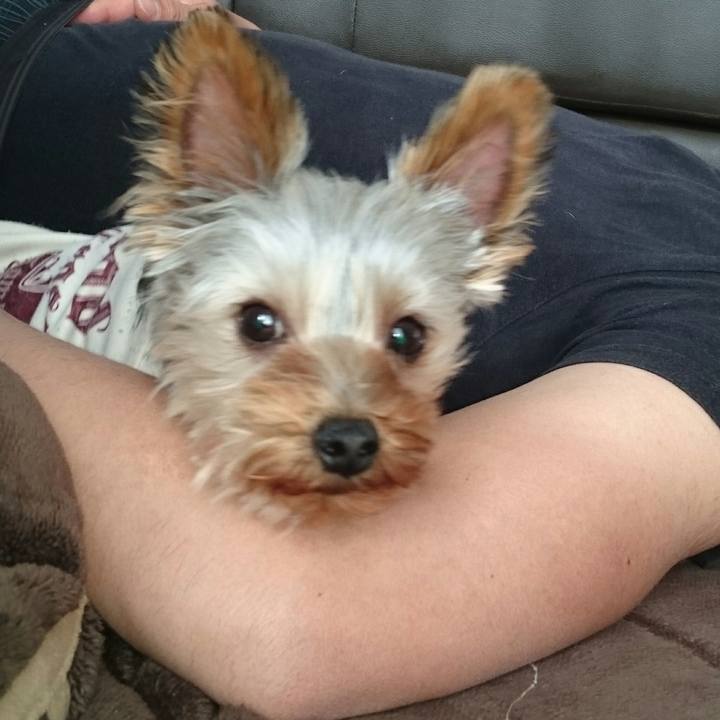 9a39f3d4 850c 4b9a 9606 6130875a4bce