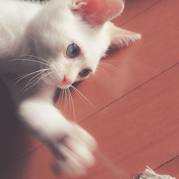 9a3a087f dee1 4e99 b42c 12062481e345