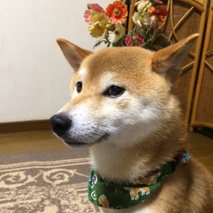 9a3a222a 9f9d 479b b4d6 591583e924ed