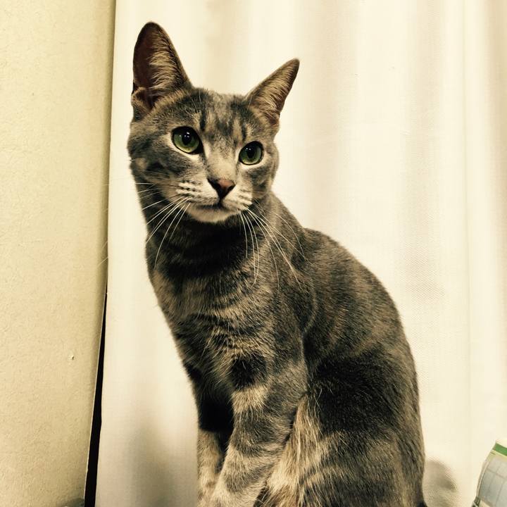 9a3af7de 9431 4151 bade de5cb3e699cf