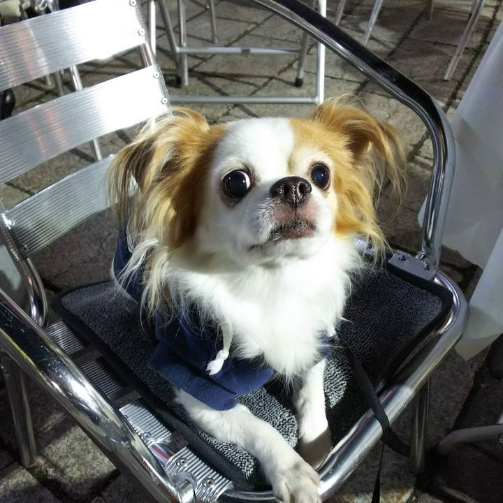 9a3b187a 992a 48a9 a9ff f153d0e14664