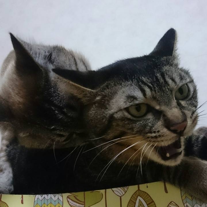 9a3b2023 e1d0 453f ac6c 9f3b27e03fc9