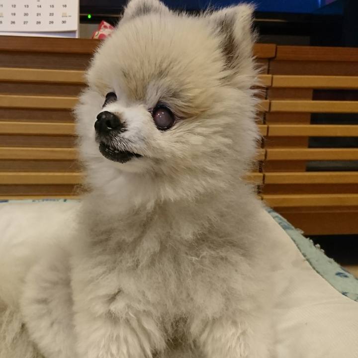 9a3c5a22 356d 40d6 abde a5c827593a6d