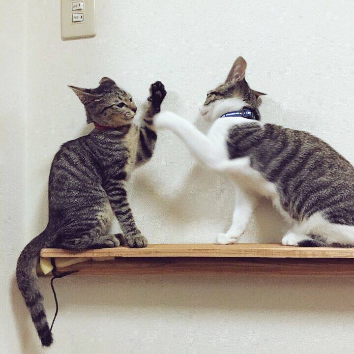 9a3d4b28 a1c0 4efb 8d93 b2a7f0937b12