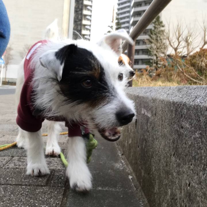 9a3d59bd cd48 4bfd 94a3 dd2849be0e70