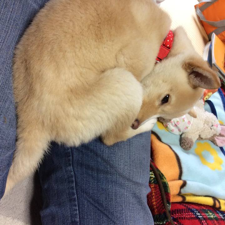 9a3d604c 04df 4fad 9aeb 717a15f66500