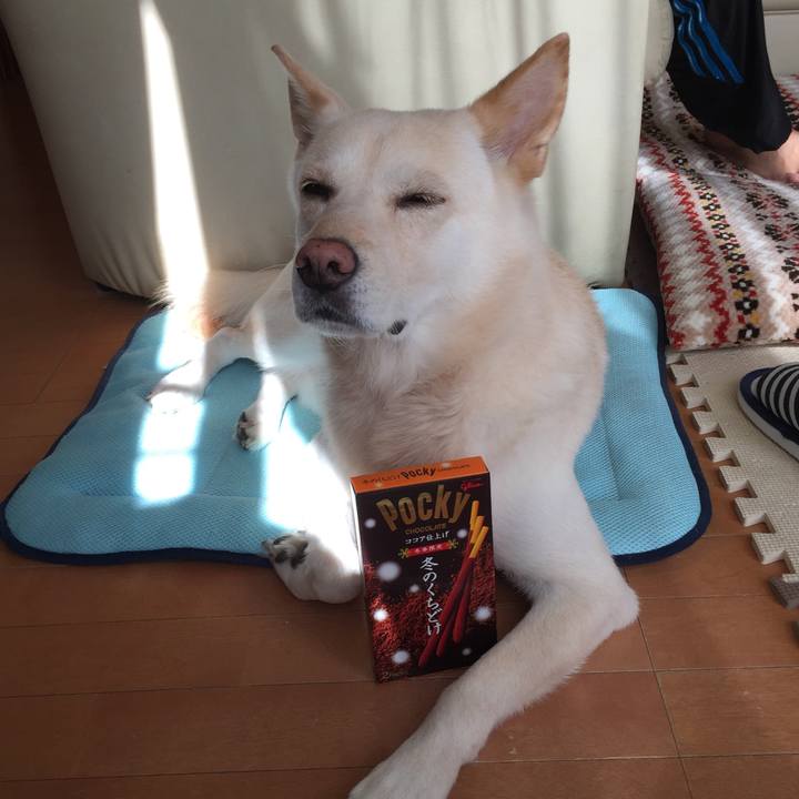 9a3d8a05 8fec 4903 8303 d37539ab892c