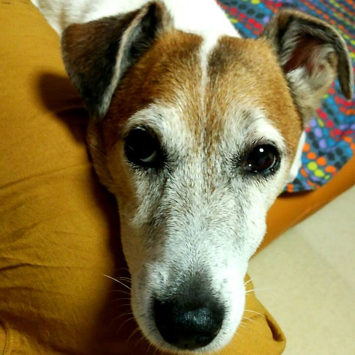 9a3defd6 740e 4bad b133 d15a5f92bc07