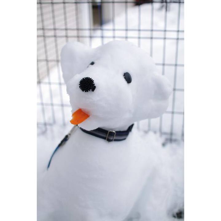 9a3e2887 e69e 438e a7a4 a585253acbbe