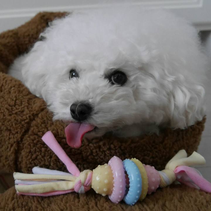 9a3e59cc b8c2 4a9a b550 72f792929745