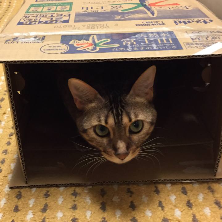 9a3ea598 d9ef 439b 9fc9 3931d43ee8b4