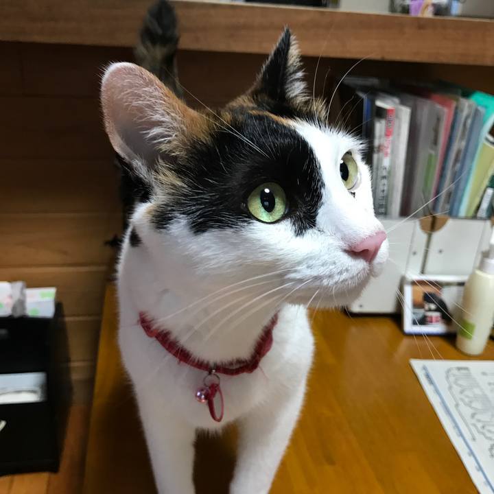 9a3ec639 2389 4c14 b158 51bb01911e21