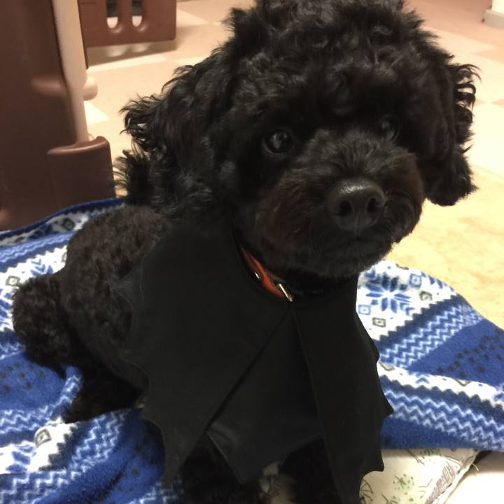 9a3f1831 663d 427f 9a03 35c170acc34b