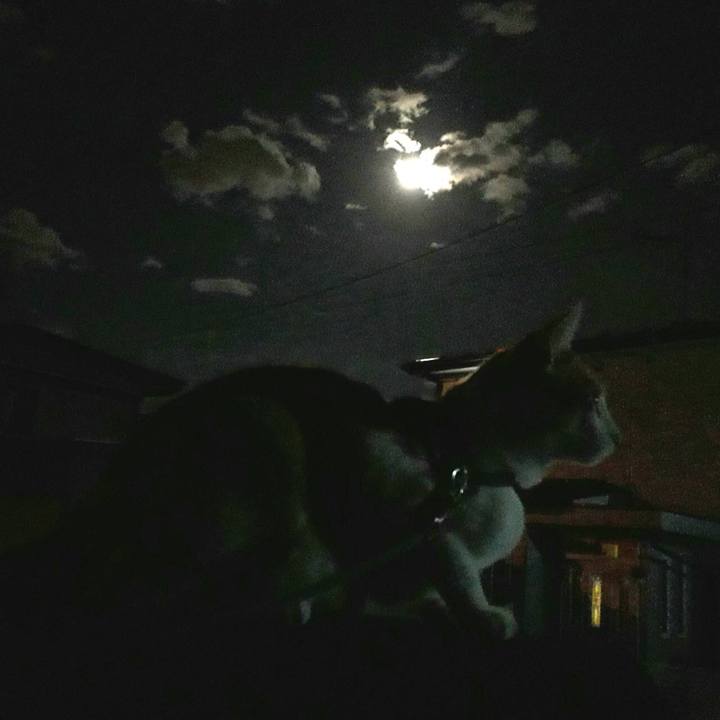 9a3fffcc 043f 4957 9c2e 3201dd1a031c