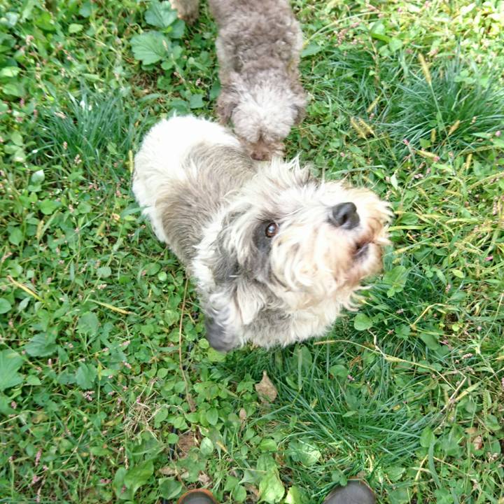 9a4020d6 8623 487c b677 751eccbf12a1