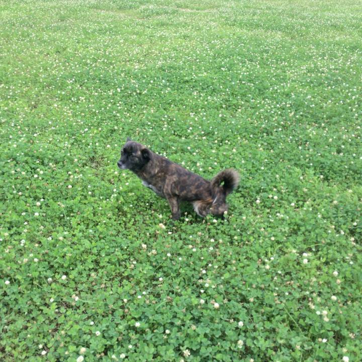 9a40378b 8961 46f4 a075 bec31554ade9