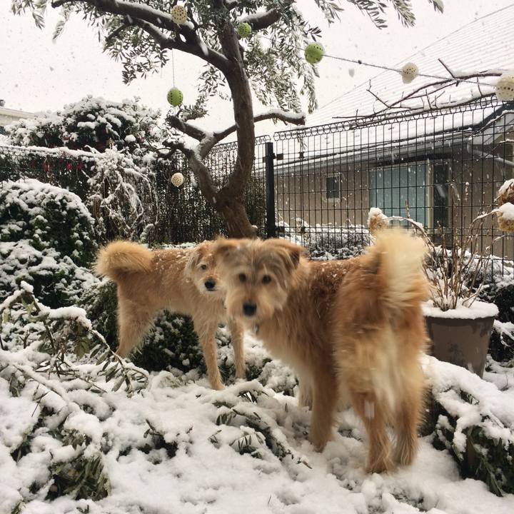 9a40a9c6 e977 4898 91c2 1d98a95c42bb