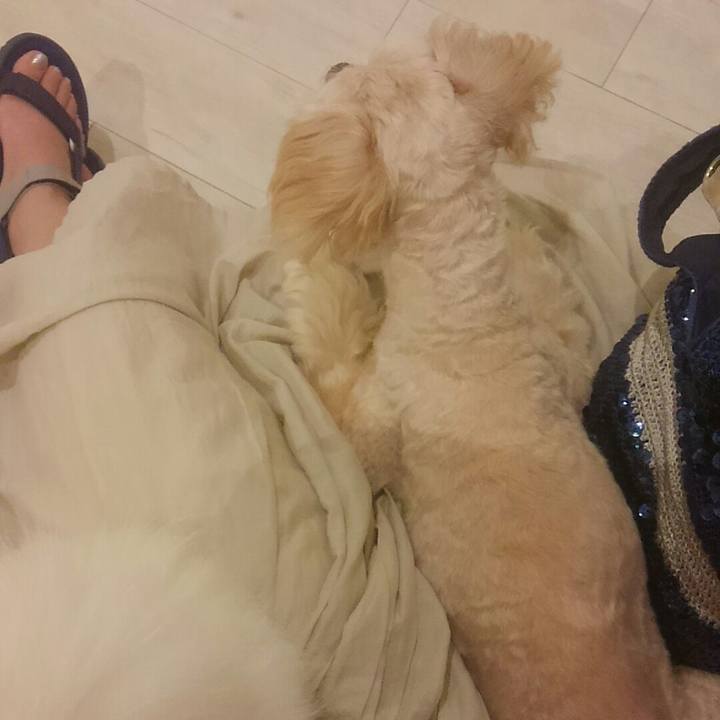 9a412447 122e 449b 8925 5d550018f922