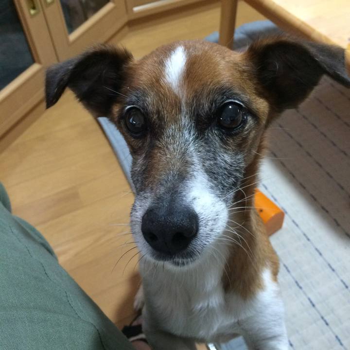 9a419a95 9346 47b2 9555 fd690e328546