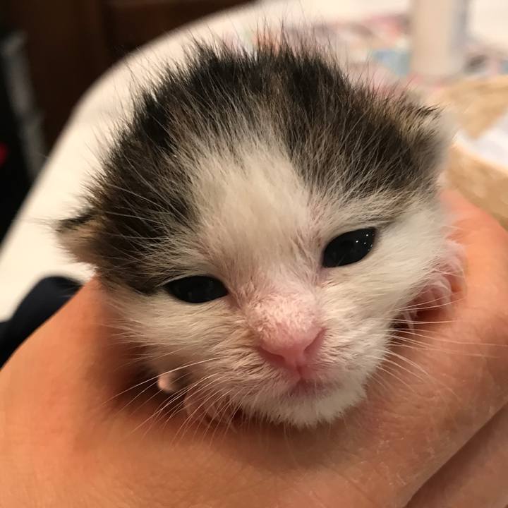 9a41e1d1 d787 463d 9f83 fc95fdb3869c